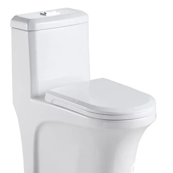 Bồn cầu nhà vệ sinh 2 nút Men sứ T-B007